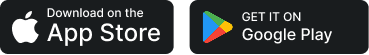 Theme icon switcher