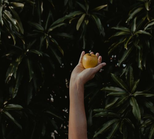 pexels-alancabello-1165509